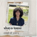 Shaya Tousi